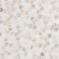 MS International Angora Tibi 1" Hexagon on 12" x 12" Marble Mosaic Sheet, , large