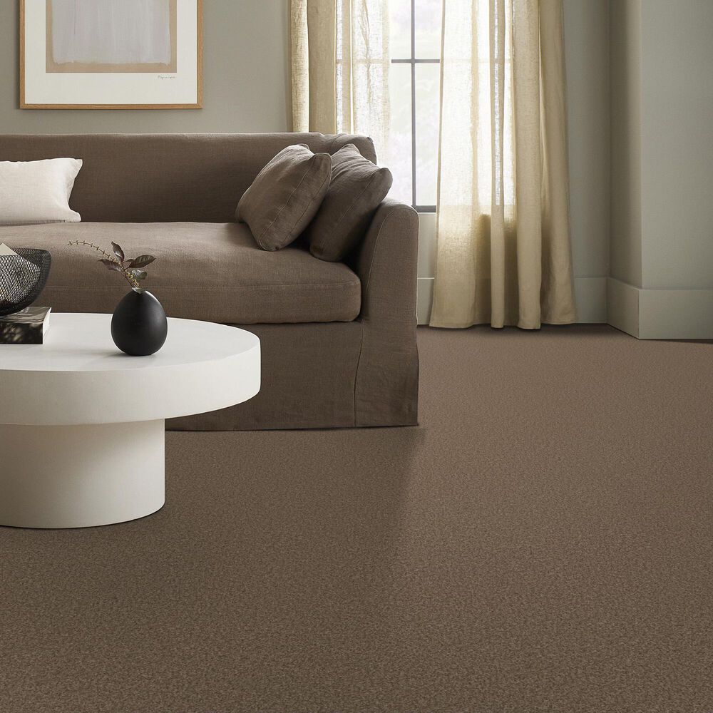 Shaw You Got This II Carpet in Mission Ridge, , large