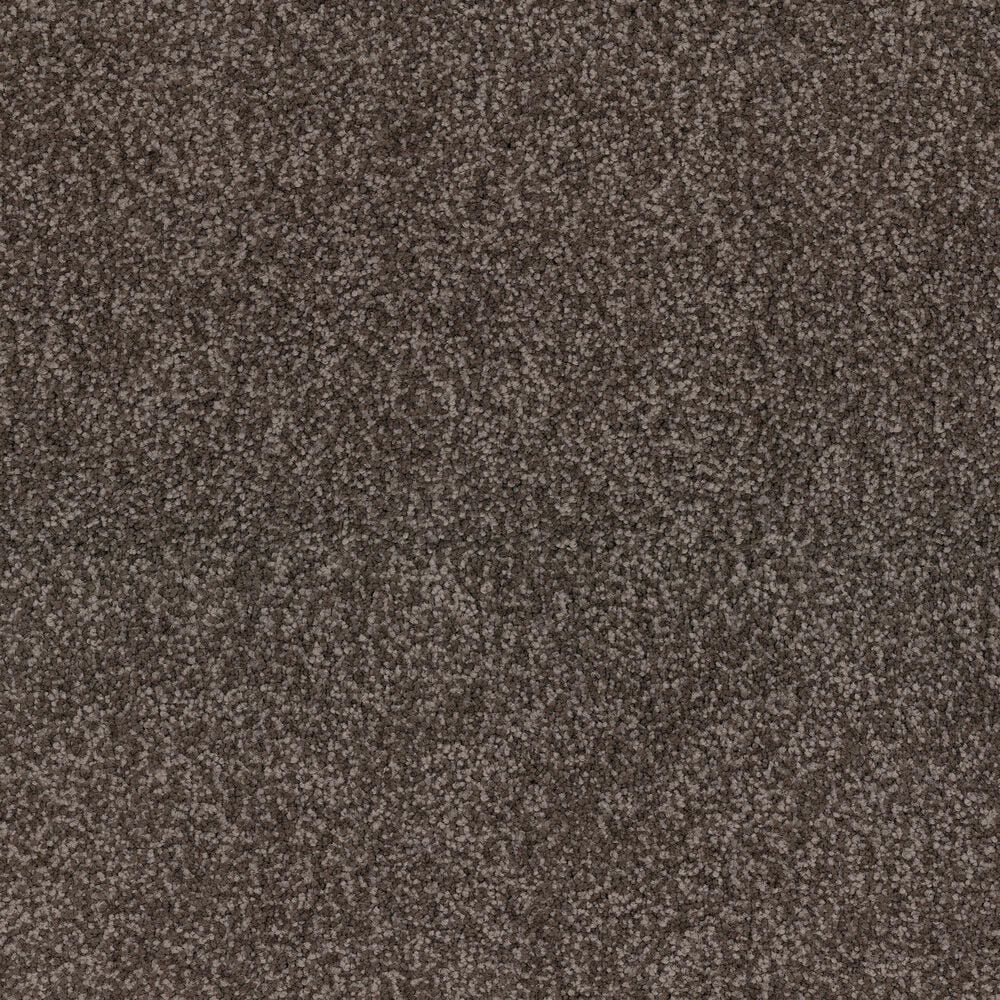 Dixie Home Perfect Summer Carpet in Lodge, , large