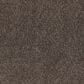 Dixie Home Perfect Summer Carpet in Lodge, , large