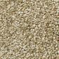 Shaw Simply the Best Cabana Life Tonal Carpet in Dried Clay, , large