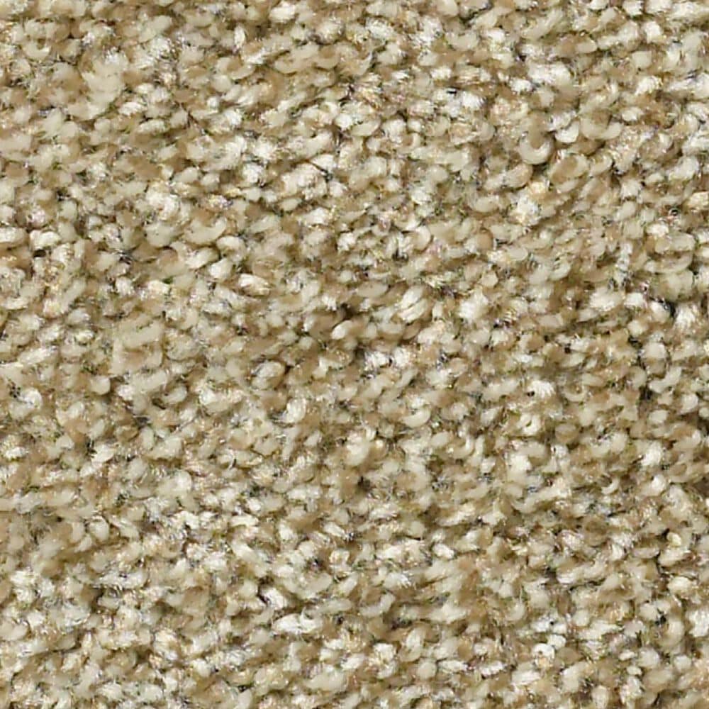 Shaw Simply the Best Cabana Life Tonal Carpet in Dried Clay, , large