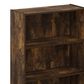 HOMLUX 3-Tier Open Shelf Bookcase in Amber Pine, , large