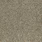 Mohawk Cozy Companion II Carpet in Stillness, , large
