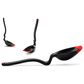 Dreamfarm Spadle Ladle in Red, , large