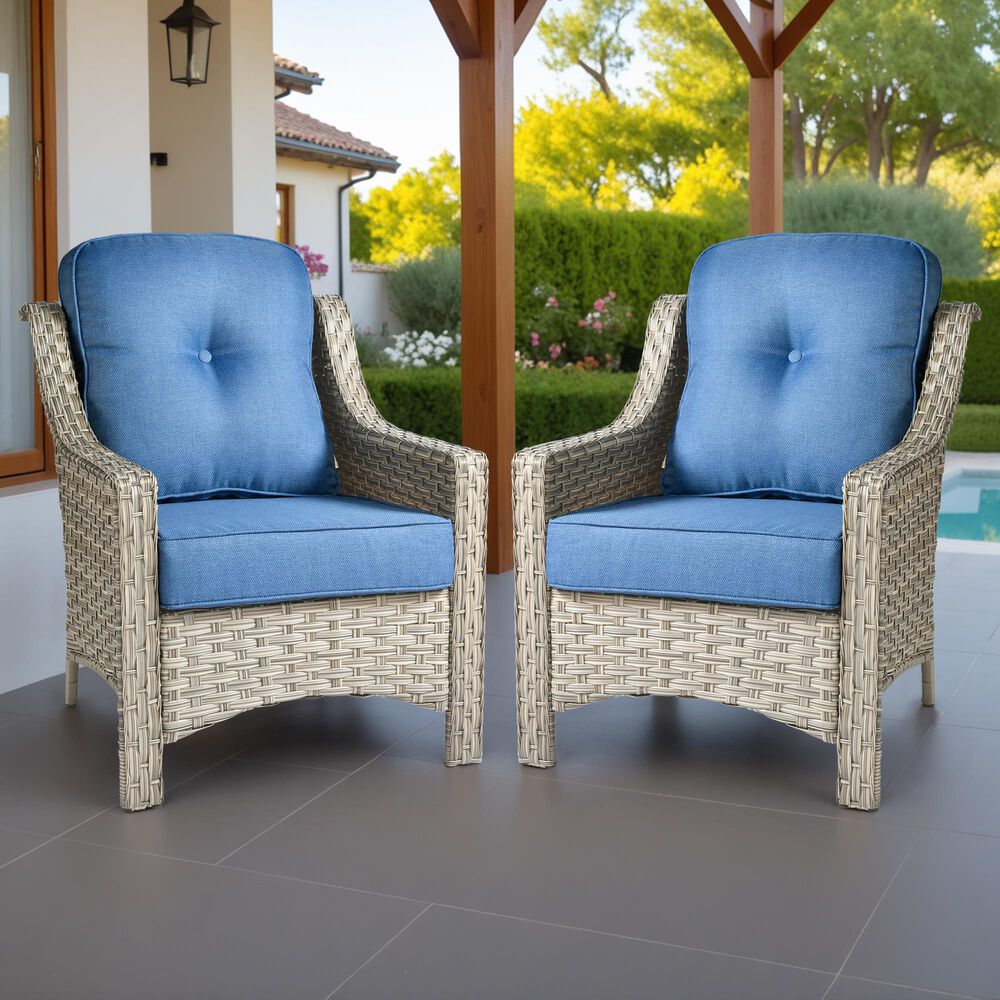 HOMLUX Outdoor Arm Chair in Diamond Blue (Set of 2), , large