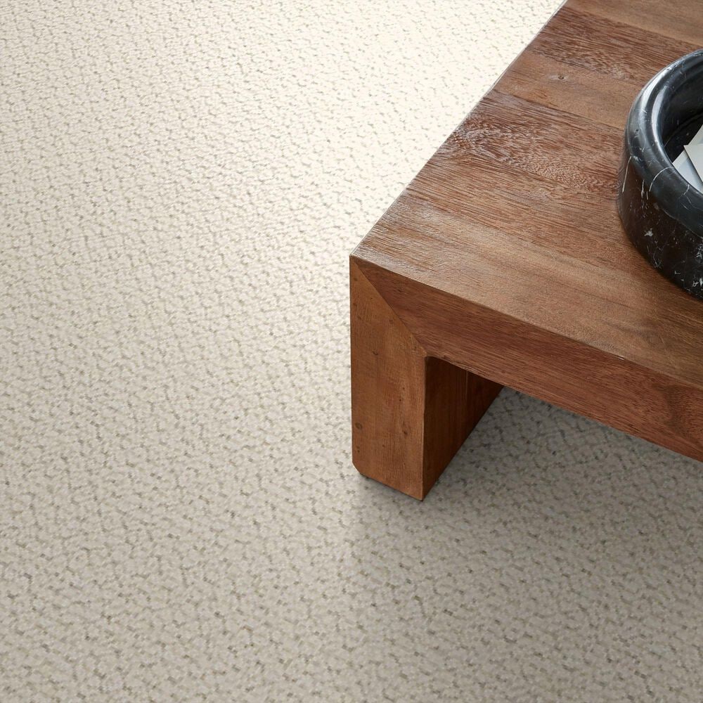 Anderson Tuftex Mera Carpet in Sparkling, , large