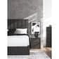 Ashley Fraluna Queen Panel Storage Bed  in Charcoal, , large