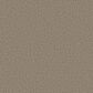 Shaw Always Right II Carpet in Parchment, , large