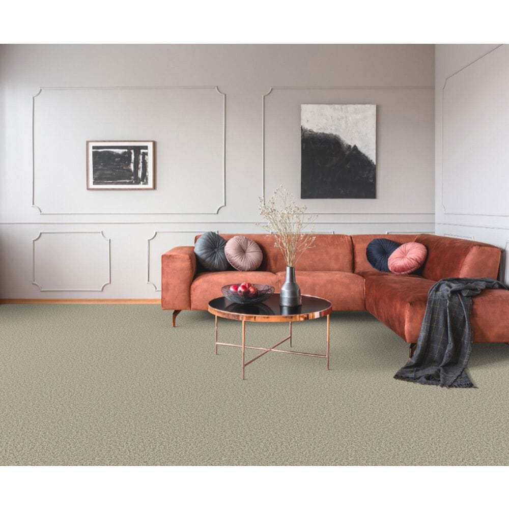 Dixie Home Main Force Carpet in Sandstone, , large