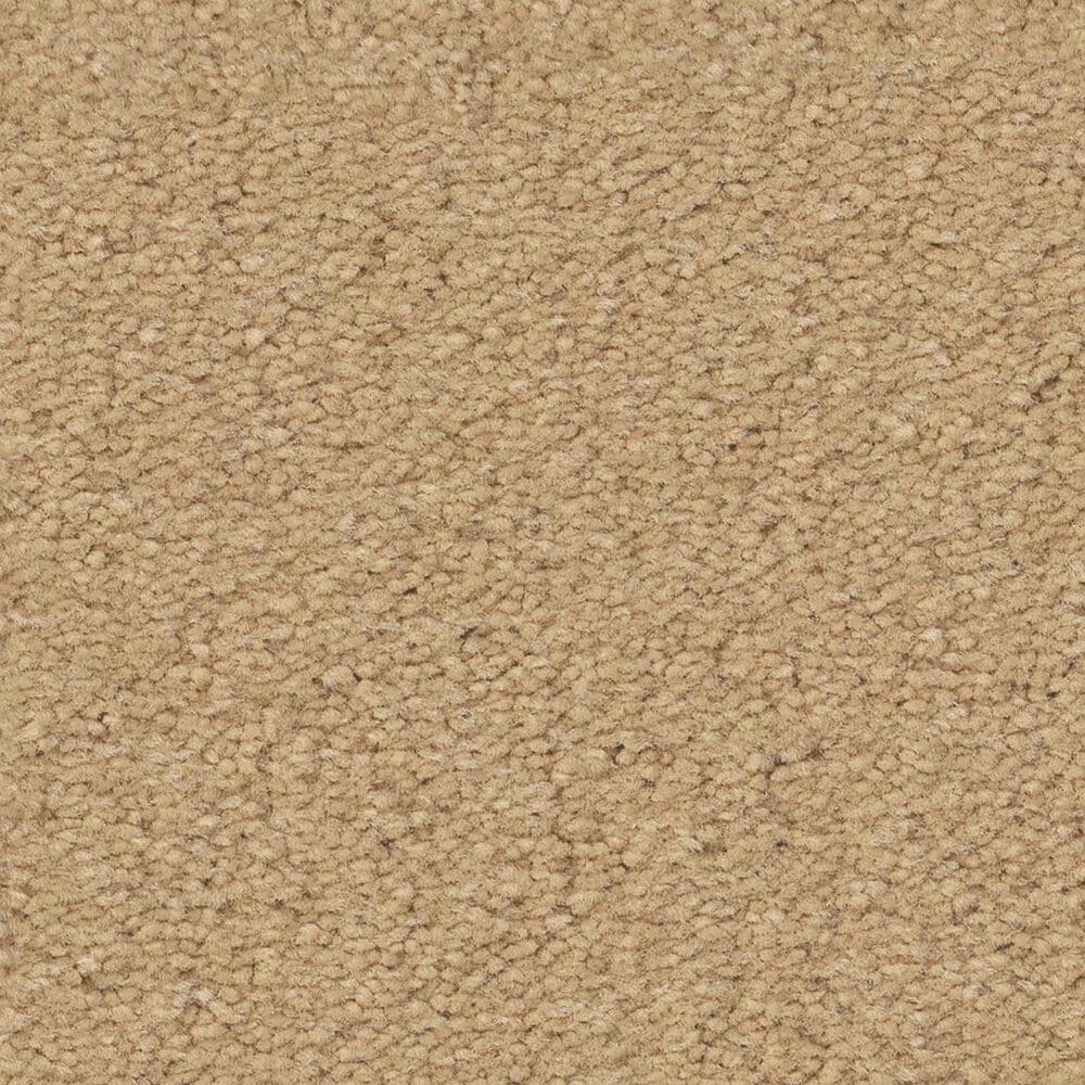 Anderson Tuftex Finery Carpet in Buttercup, , large