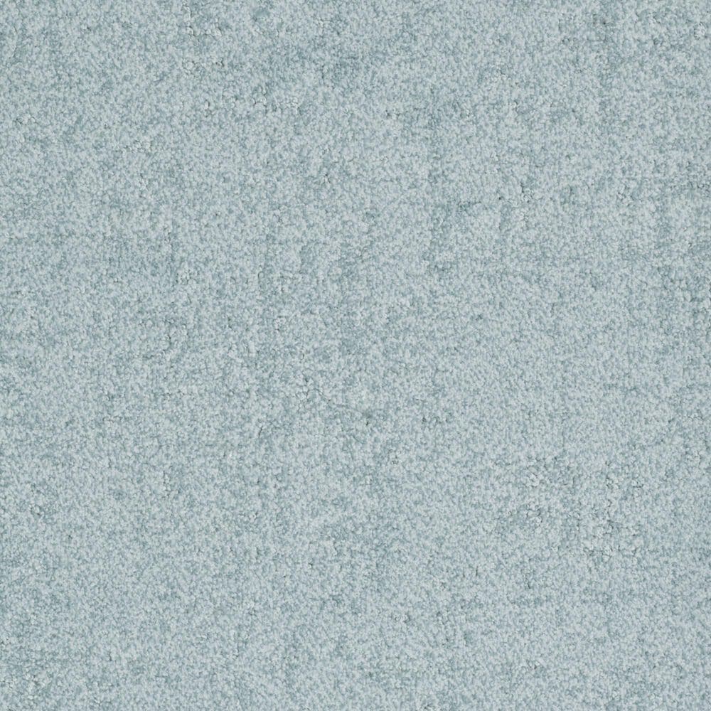 Dixie Home Genuine Carpet in Sure, , large