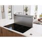 Zephyr Treviso 36" Downdraft Range Hood in Stainless Steel, , large