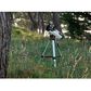 Celestron 114LCM Computerized Telescope, , large