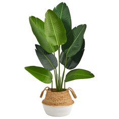 Nearly Natural Inc 4ft Travelers Palm with Handmade Cotton and Jute Planter in Green