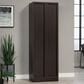 Sauder Merton Hall 2-Door Storage Cabinet in Dakota Oak, , large