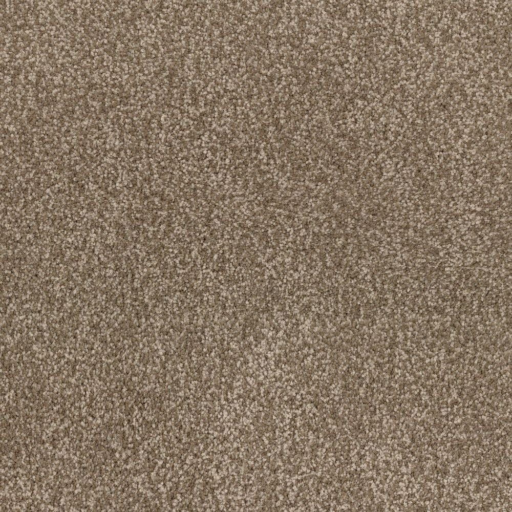 Dixie Home Perfect Summer Carpet in Explore, , large