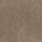 Dixie Home Perfect Summer Carpet in Explore, , large