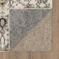 Karastan Cleo R1076 5" 3" X 8" Light Grey Area Rug, , large