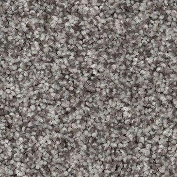 Anderson Tuftex Terra Nova Carpet in Chelsea Fog, , large