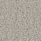 Shaw Vintage Flair Carpet In Fringe, , large