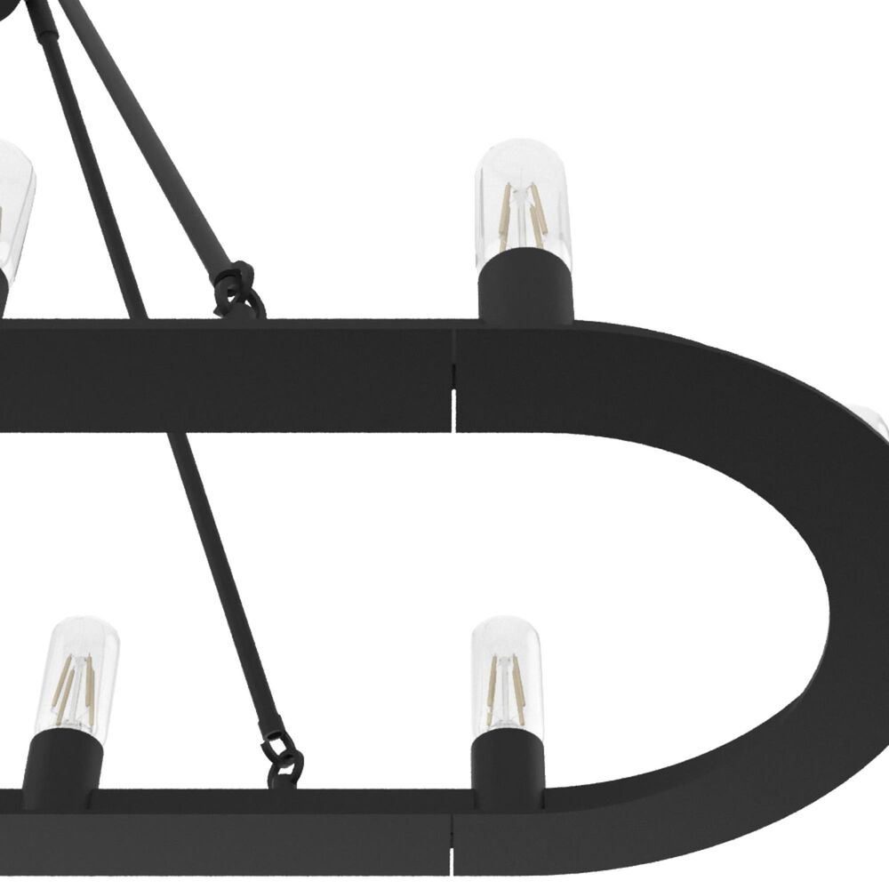 Hunter Saddlewood 10-Light Chandelier in Natural Iron, , large