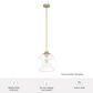 Hunter Xidane 1-Light Large Pendant in Alturas Gold, , large