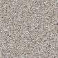 Shaw Good Move I Carpet in Desert Light, , large