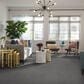 Shaw Bellera Calm Serenity I Carpet in Silver Lining, , large