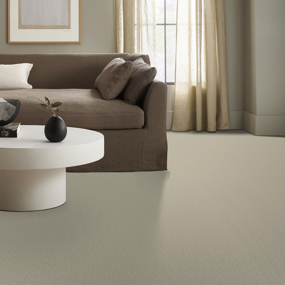 Anderson Tuftex Elegant Beauty Carpet in Aloe Wash, , large