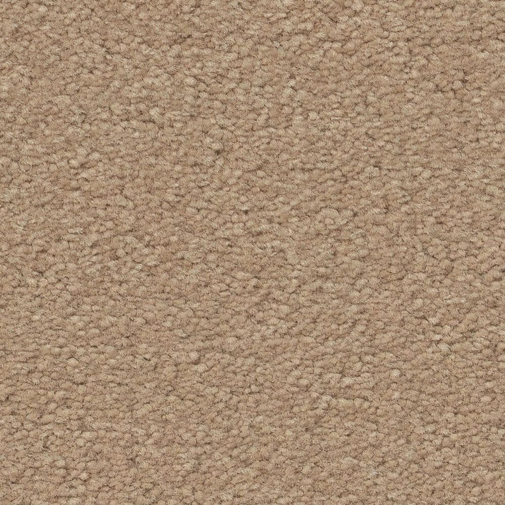 Anderson Tuftex Finery Carpet in Cork, , large