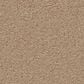 Anderson Tuftex Finery Carpet in Cork, , large
