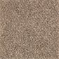 Mohawk Nature"s Elegance Carpet in Carpet in Hearthstone, , large