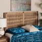 Baxton Studio Holitz King Headboard in Walnut Brown and Light Brown, , large