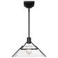Golden Lighting Kepler 1-Light Medium Pendant in Matte Black, , large