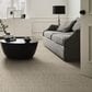 Anderson Tuftex Caress Resort Chic Carpet in Clay, , large