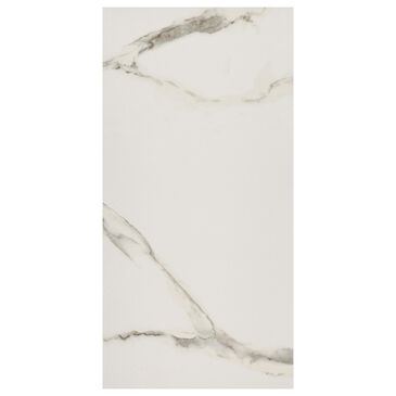 Shaw Casino Calacatta 12" x 24" Porcelain Tile, , large