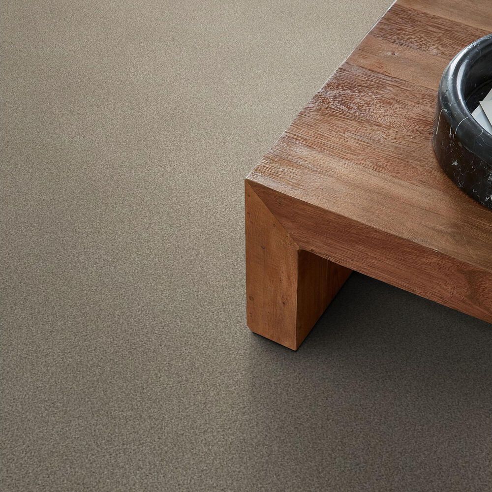 Shaw Tonal Comfort Ii Carpet in Dockside View, , large