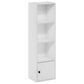 HOMLUX 4-Tier Shelf Bookcase with Door Storage Cabinet in White, , large