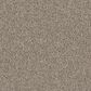 Godfrey-Hirst Candor Carpet in Versatile, , large