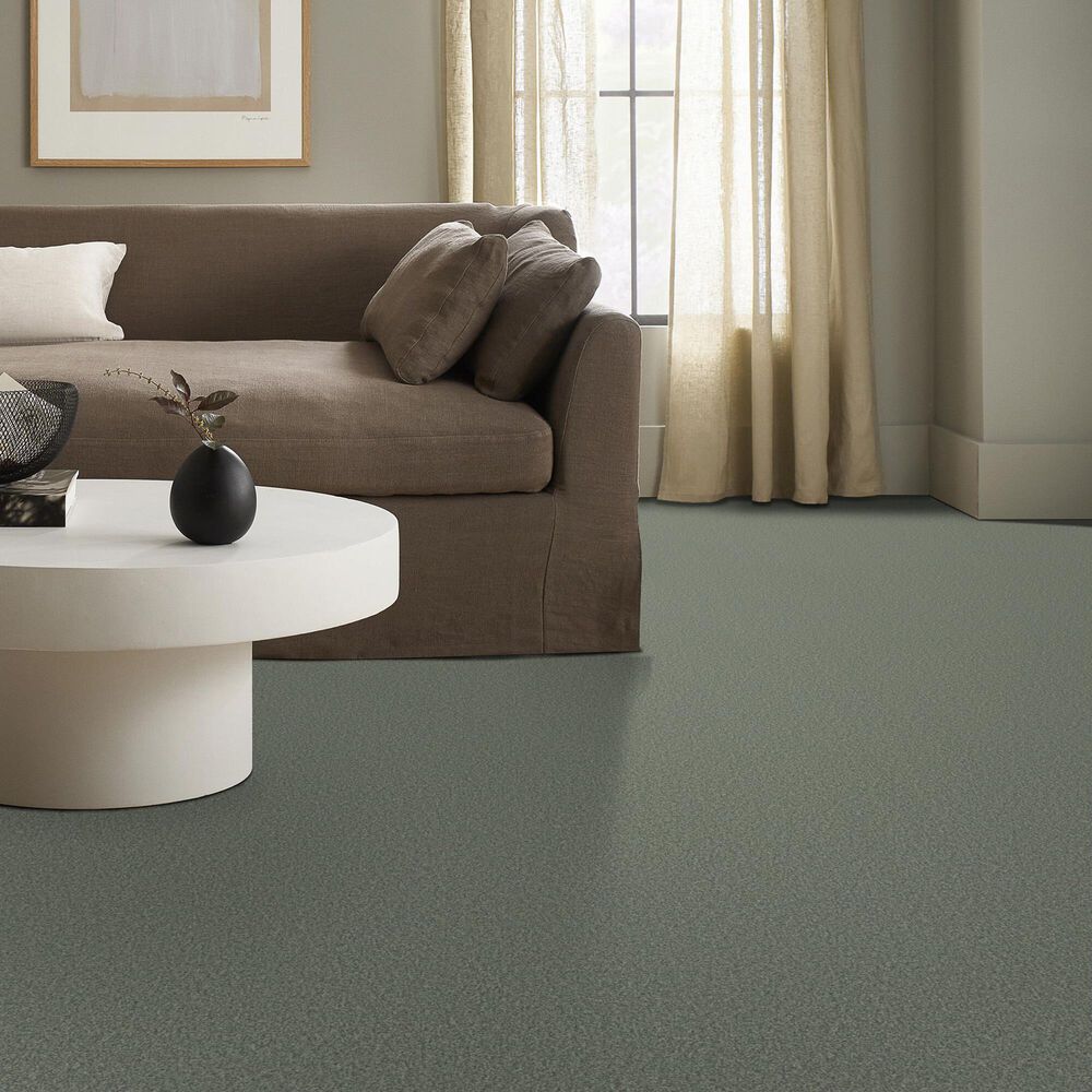 Shaw Tonal Comfort Ii Carpet in Meadow, , large