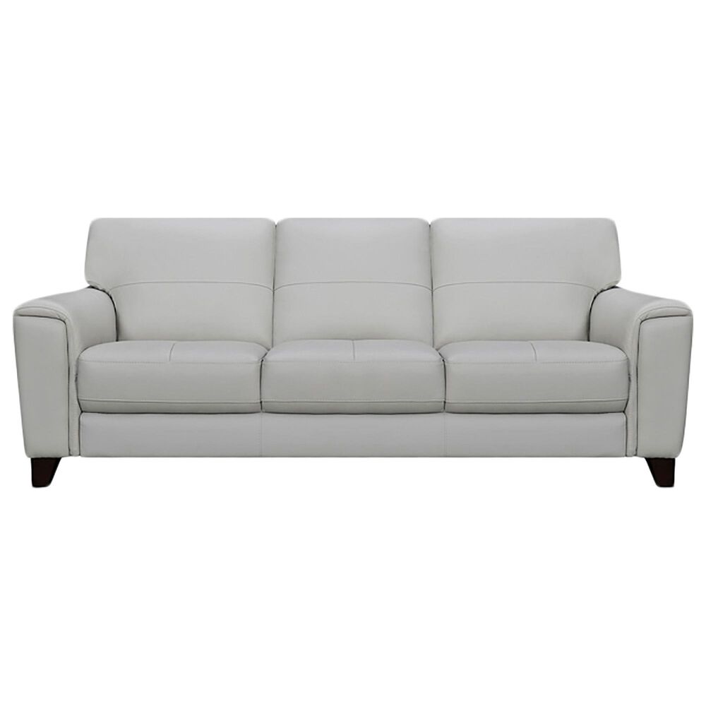 Blue River Bergen Leather Stationary Sofa in Dove Gray, , large