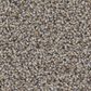 Shaw Ramped Up Carpet In Ridgeview, , large