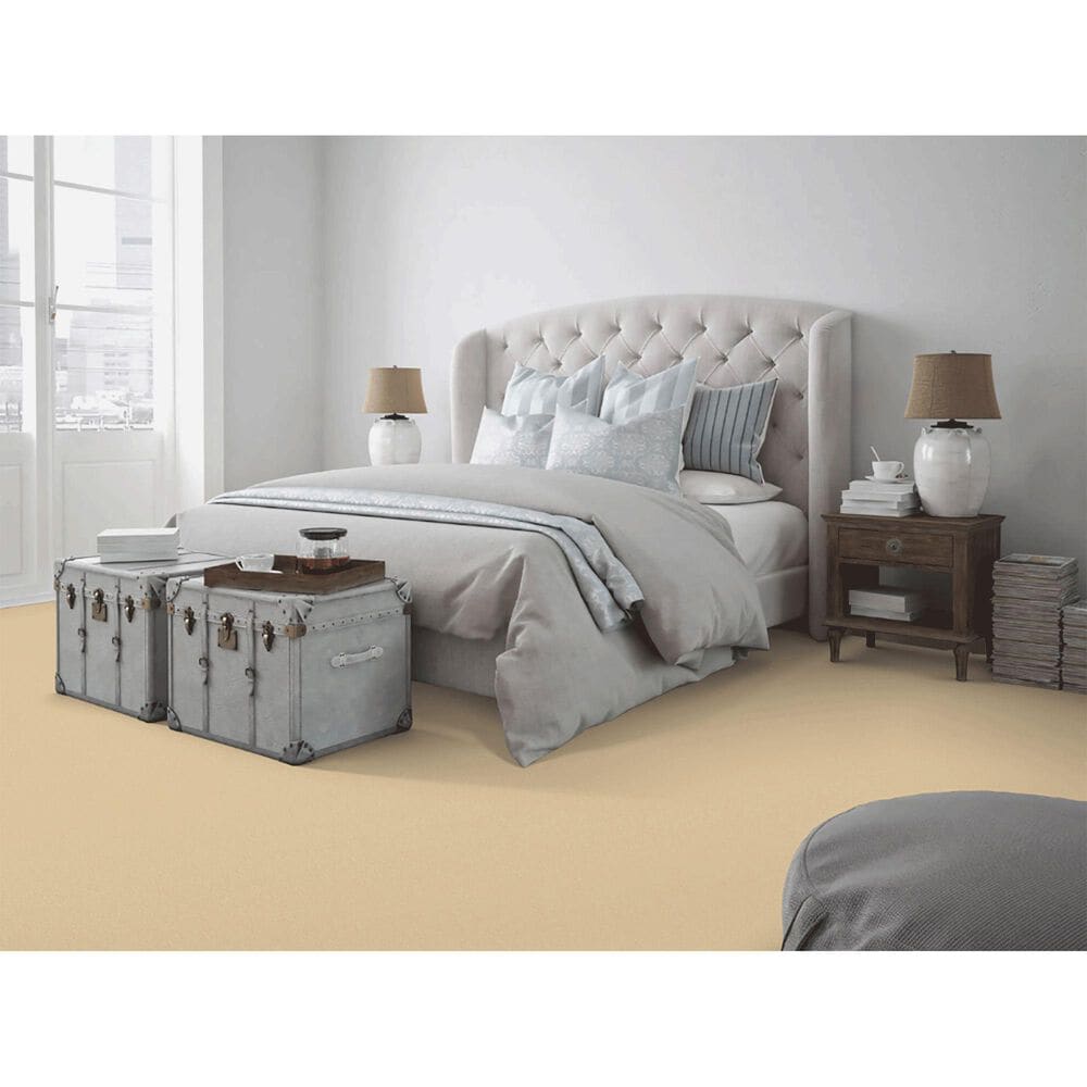 Dixie Home Neverland Carpet in Fairmont, , large