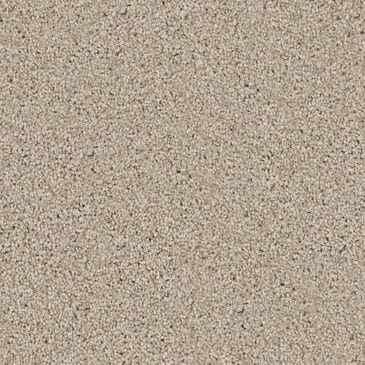 Dixie Home Devotion Carpet in Cork, , large