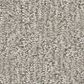 Shaw Clever Blend Carpet in Sculpture, , large