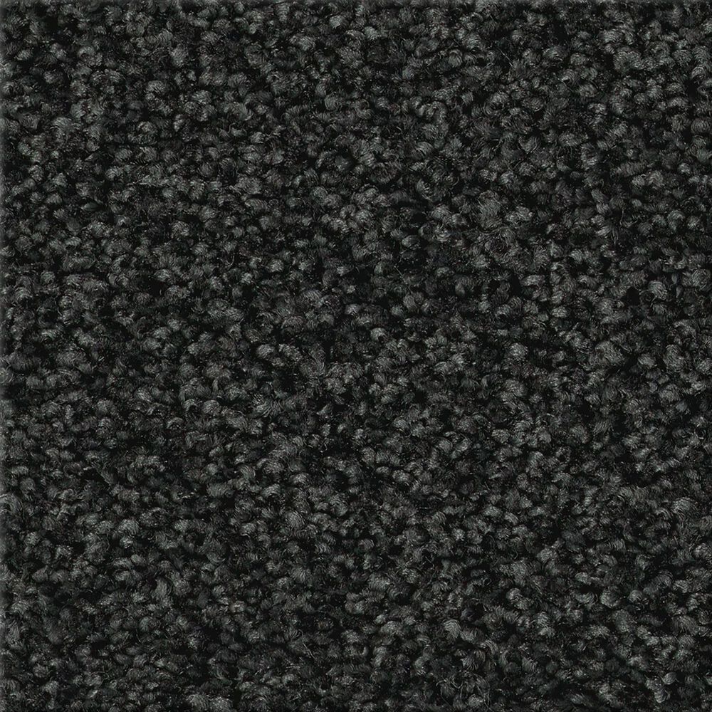Shaw Tonal Comfort II Carpet in Movie Night, , large