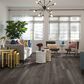 Shaw Paladin Plus Oyster Oak 7" x 48" Vinyl Plank, , large