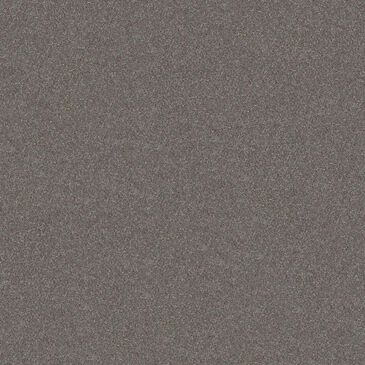 Shaw Without Limits II Carpet in Tundra, , large