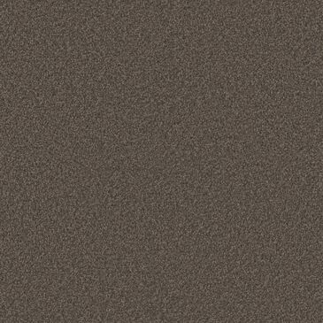 Phenix Naples Carpet in Espresso, , large